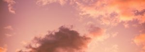 Lire la suite à propos de l’article In Memoriam