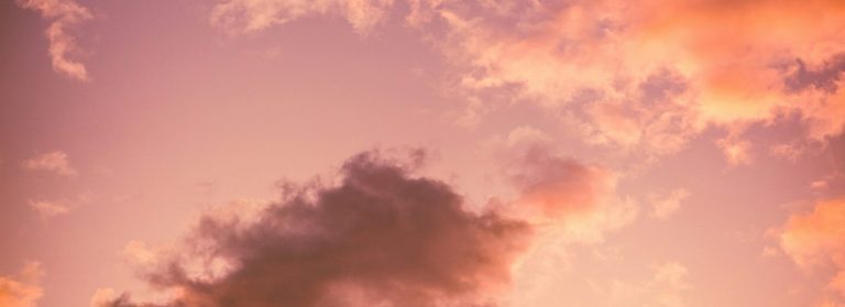 Lire la suite à propos de l’article In Memoriam