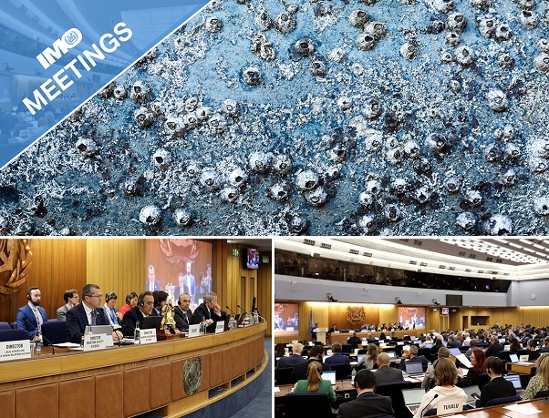Lire la suite à propos de l’article OMI : 10e session du Sous-comité de la prévention, de la pollution, et de l&rsquo;intervention